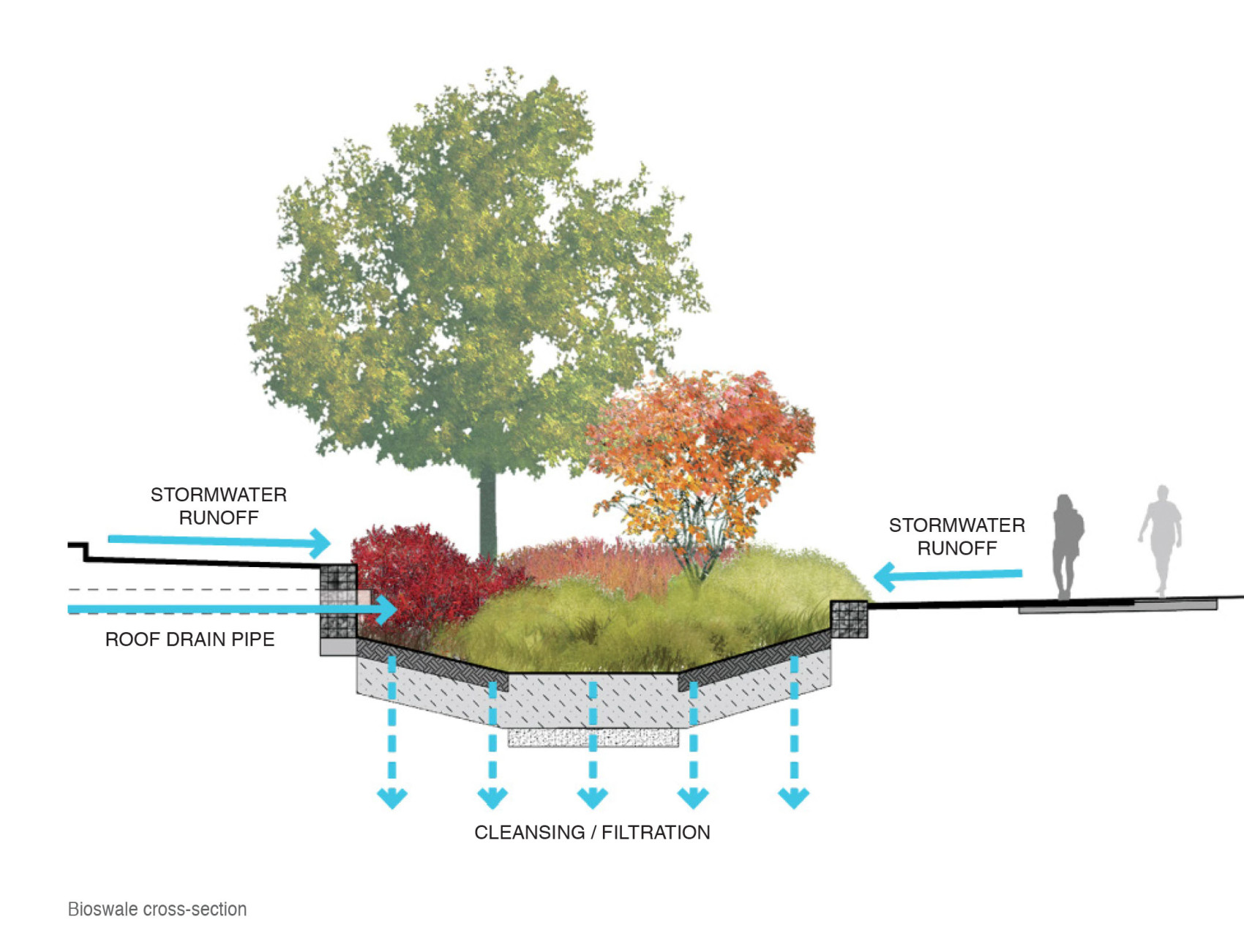 UConn_Bioswall Cross Section wText